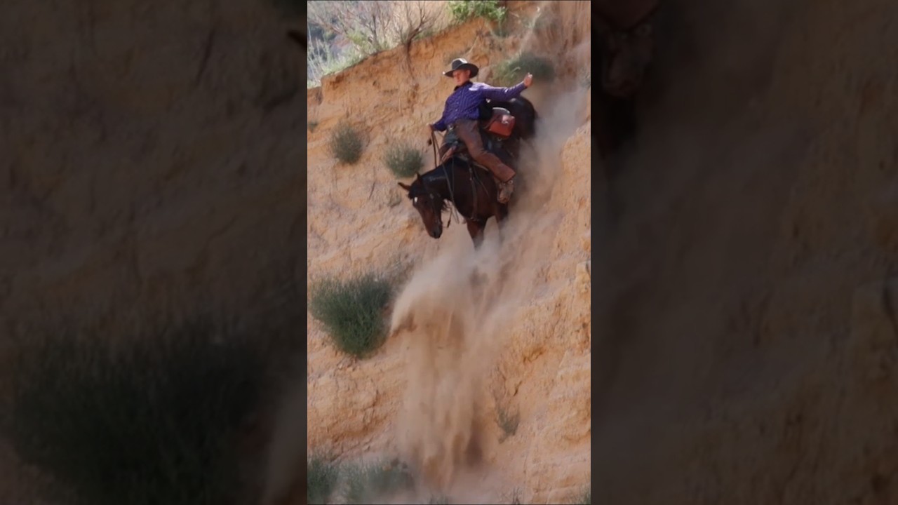 Would you ride your horse down this hill? #mustanghorse #horses #fyp (performed by professionals)