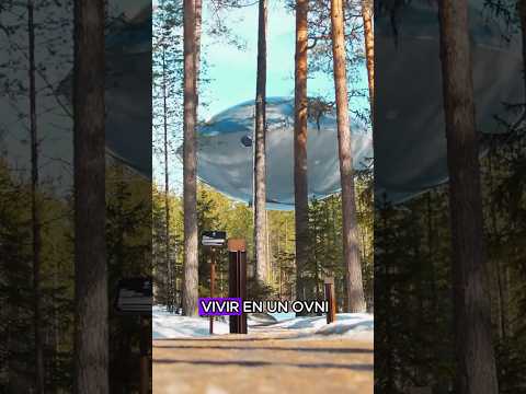Would You Survive 100 Days in This UFO for $1,000,000?#us #challenge #dollar #usdollar #fyp