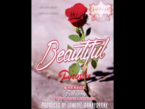 Wrekage Ft. Brown Ale & Catalina- Beautiful Disaster (audio)