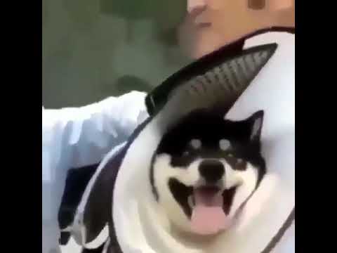Wrong hole