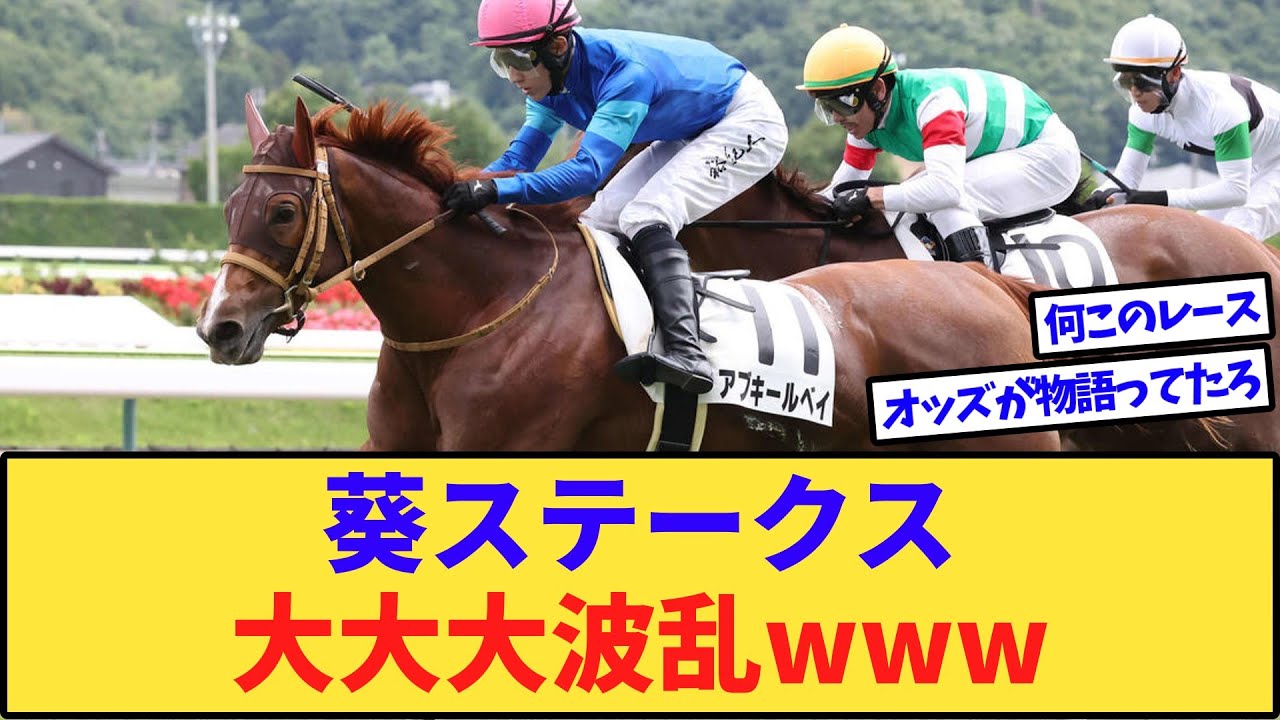 【悲報】葵ステークス、変な馬が来すぎて終了www