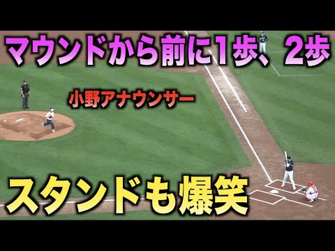 前に移動し観客も爆笑www小野文恵アナウンサーの始球式がおもしろいwww