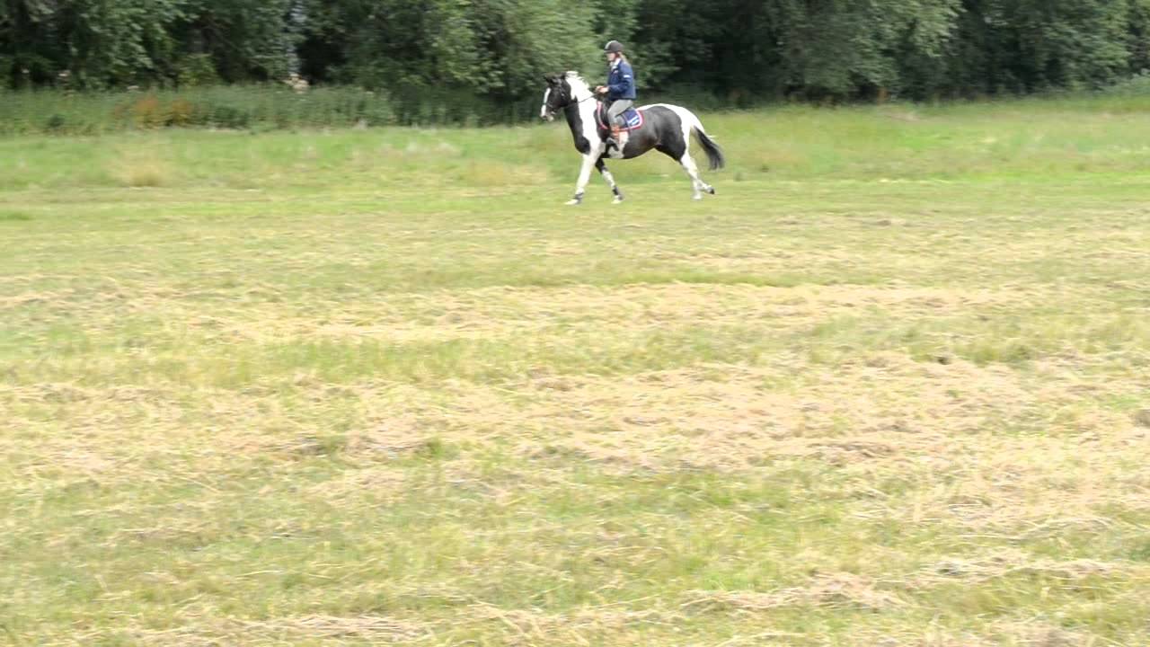 XC PONIO!