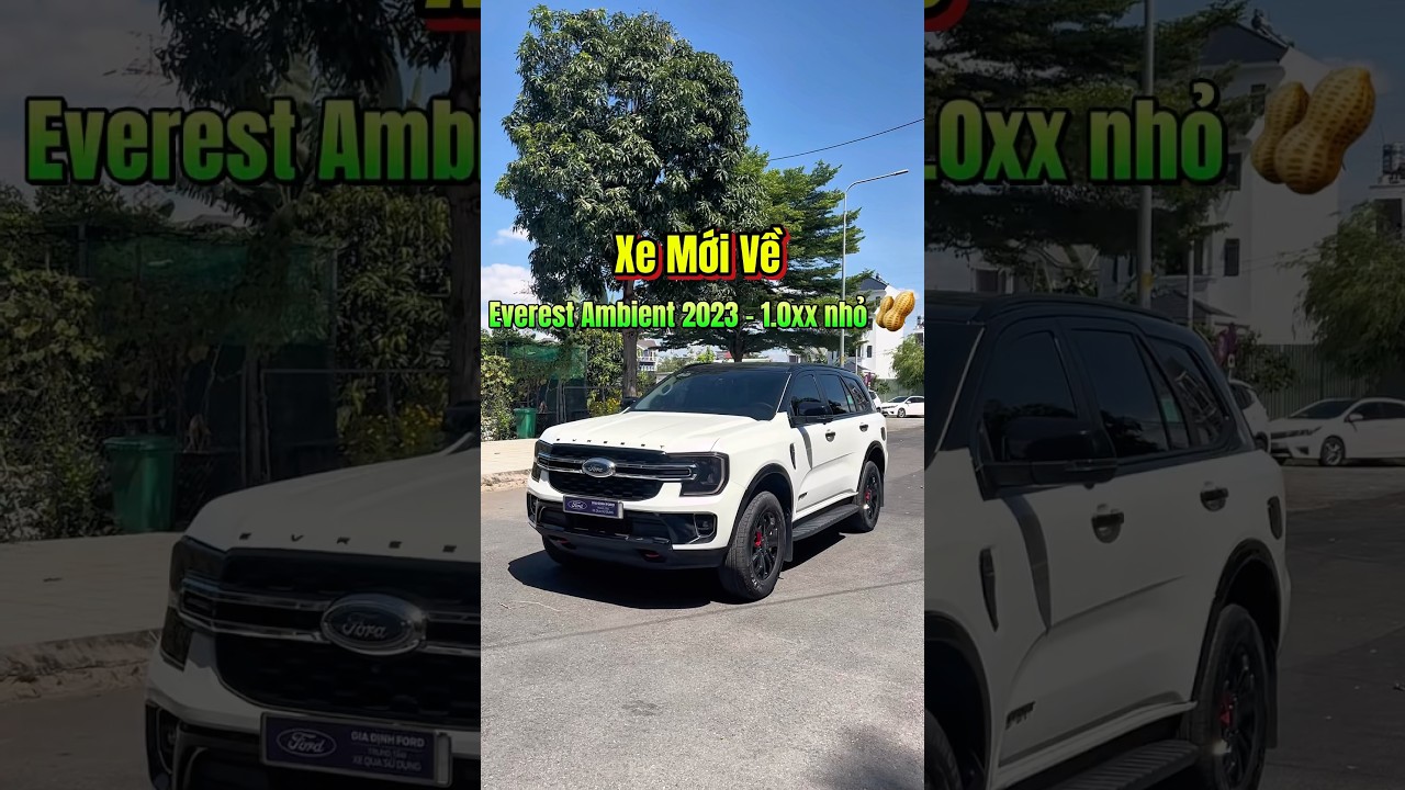 xe cũ ford Everest Ambient 2023  - 67.000km - chỉ 1.0xx nhỏ | Toàn Thắng Xe Ford