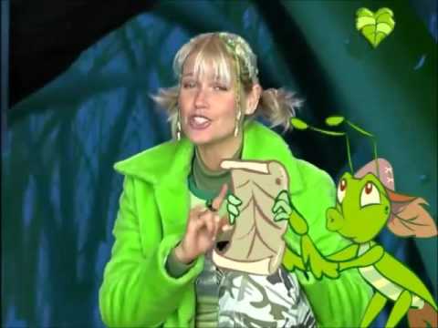 Xuxa   Serenata do Grilo