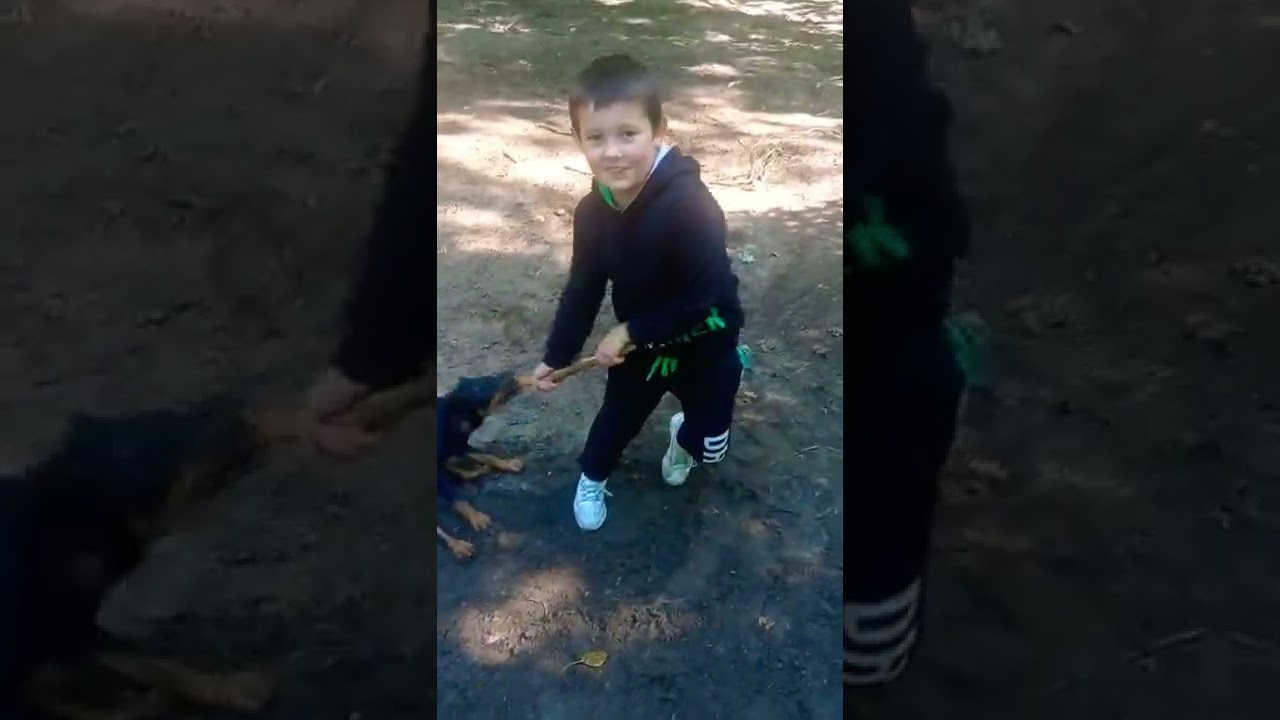Yag terrier Karat vs Artem!!)))