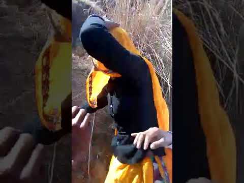 Ye hai Rajasthani couple jangle me mangal krte pkde gaye