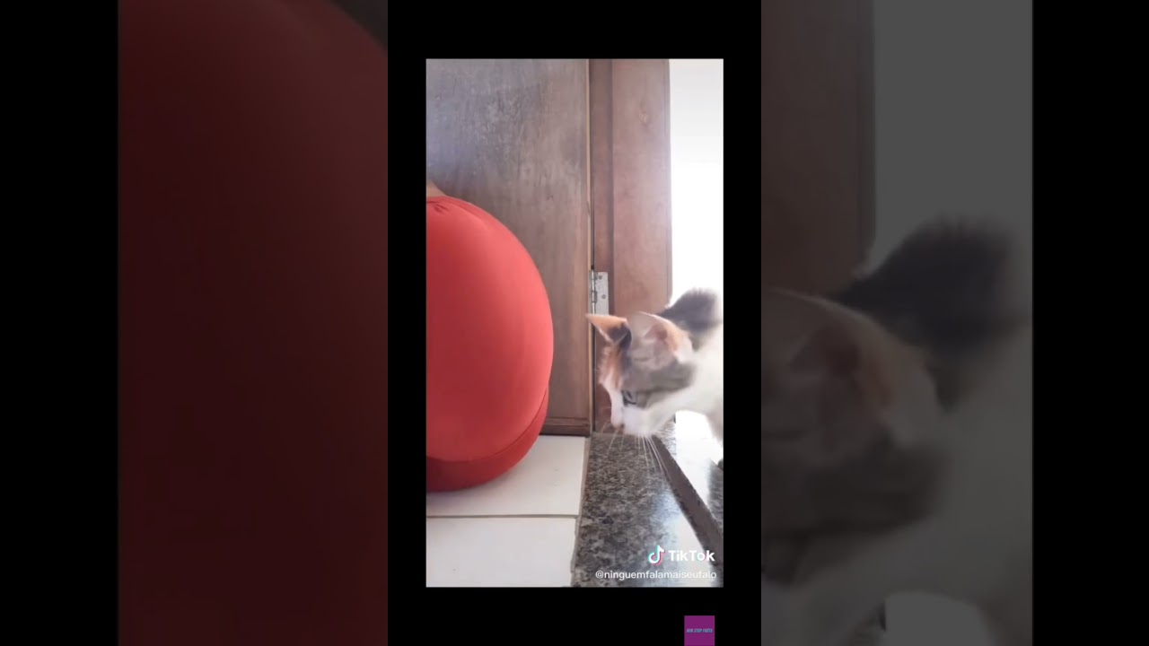 yeğeninin yanına osuran  sexy kız