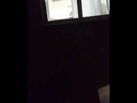Yengemi Korkuttum 😈