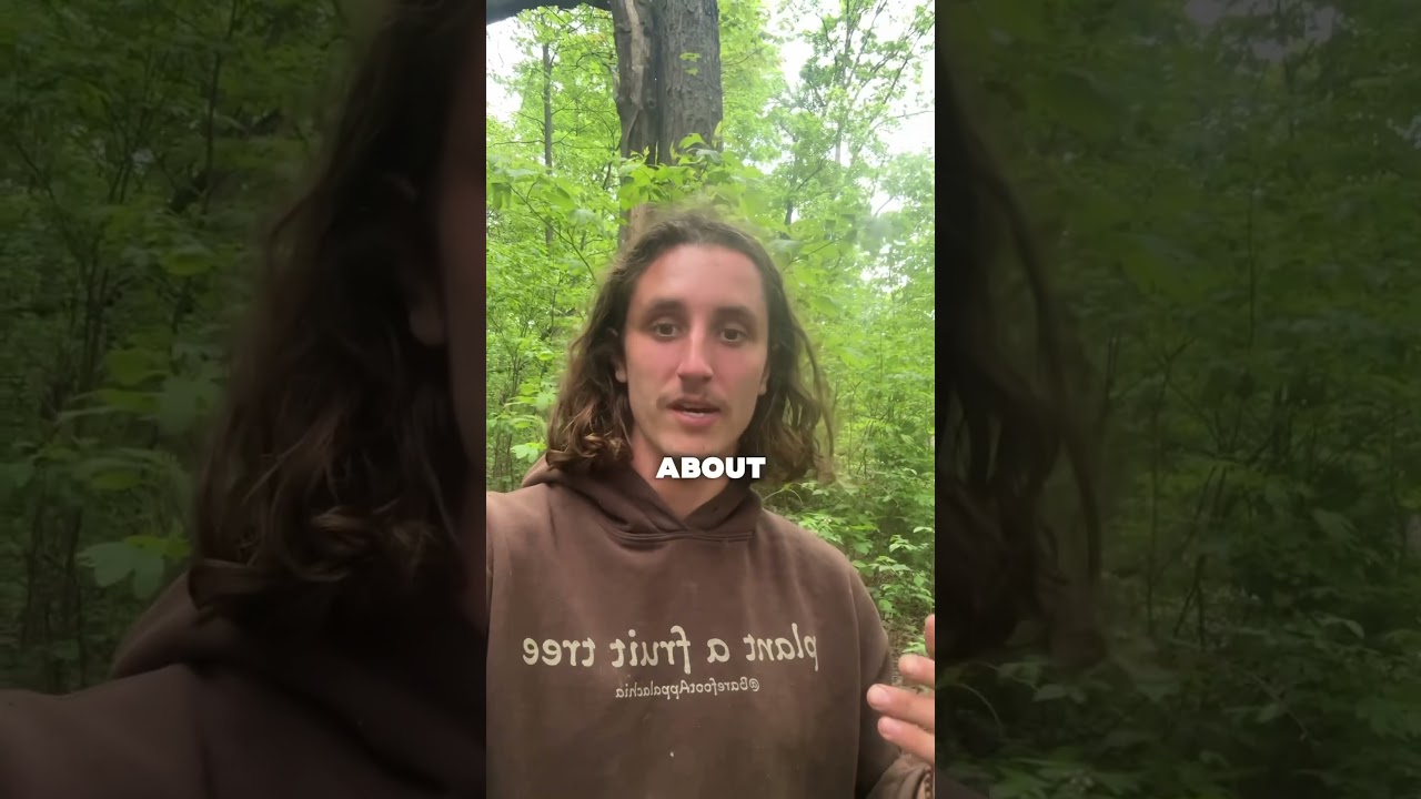 👀You’ll NEVER believe what he found #shorts #permaculture #plants