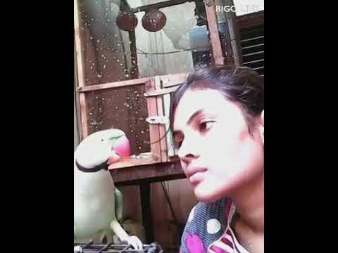 Young people are all watching this video, have you watched yet？ #bigolivevideo