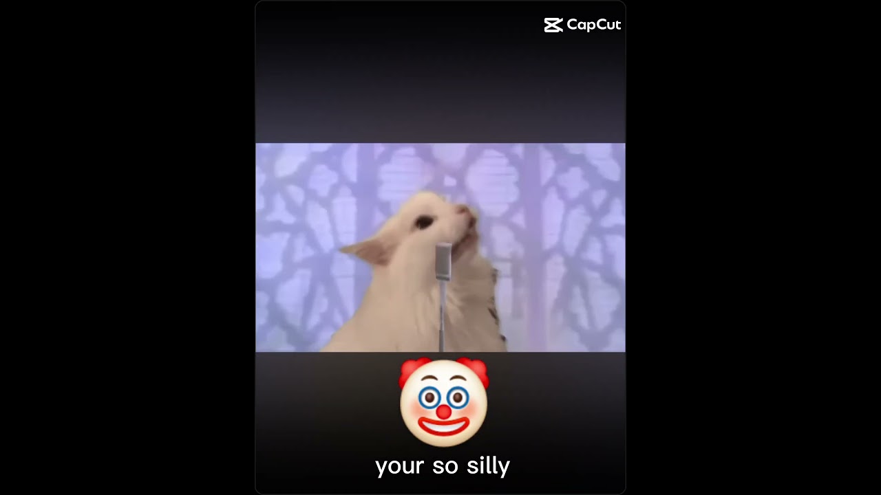 Your so silly