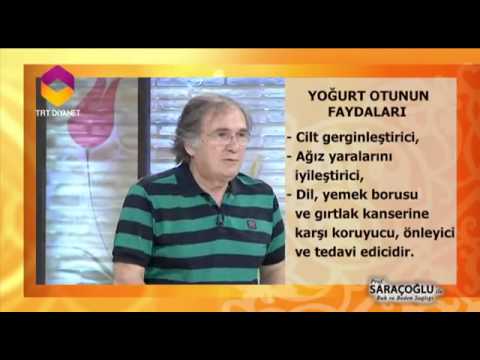 Yoğurt Otu Kürü