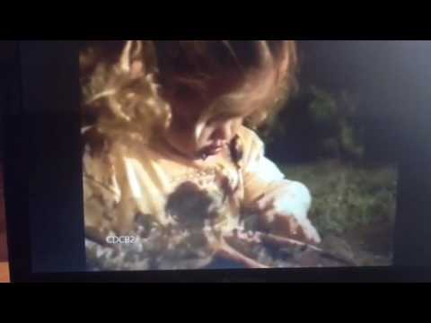 Zaboomafoo 1998 Fundings