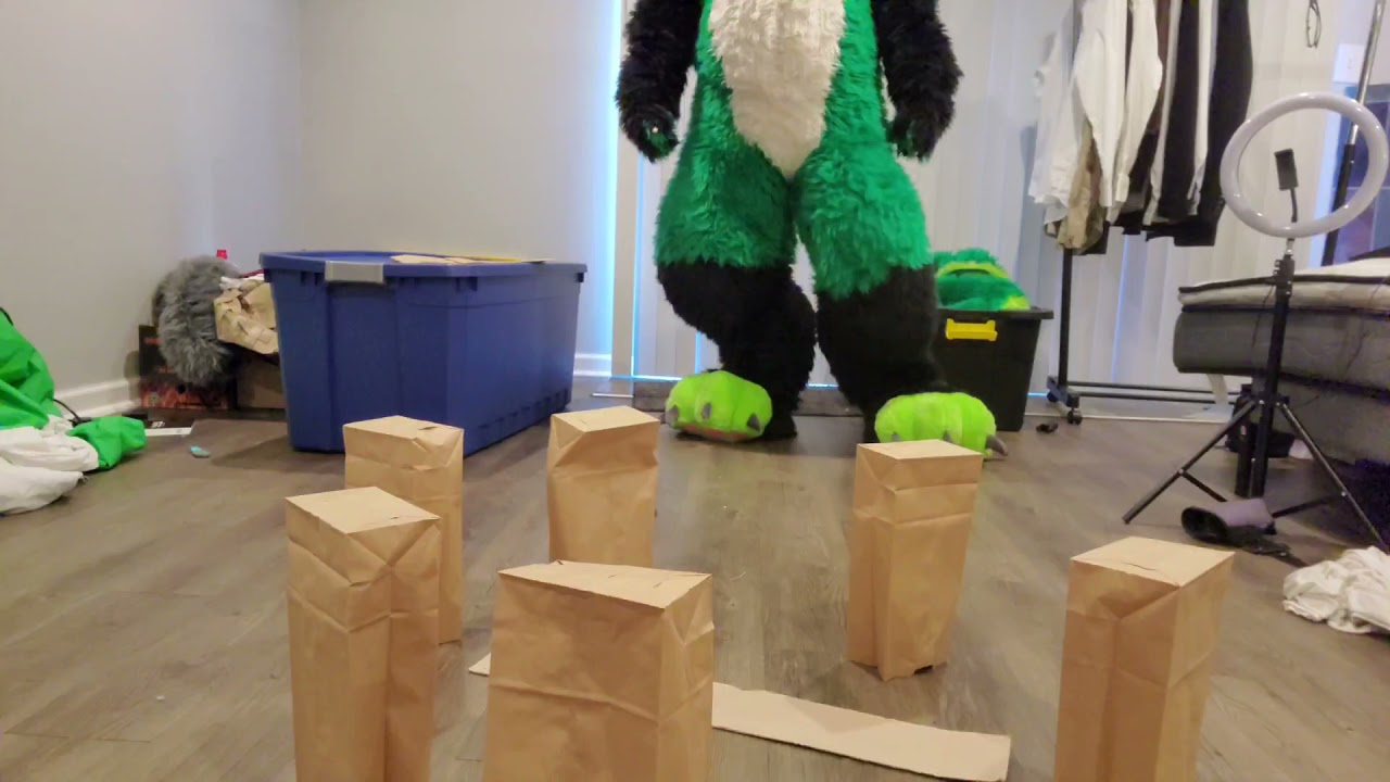 Zanobi New Paws N Stomp