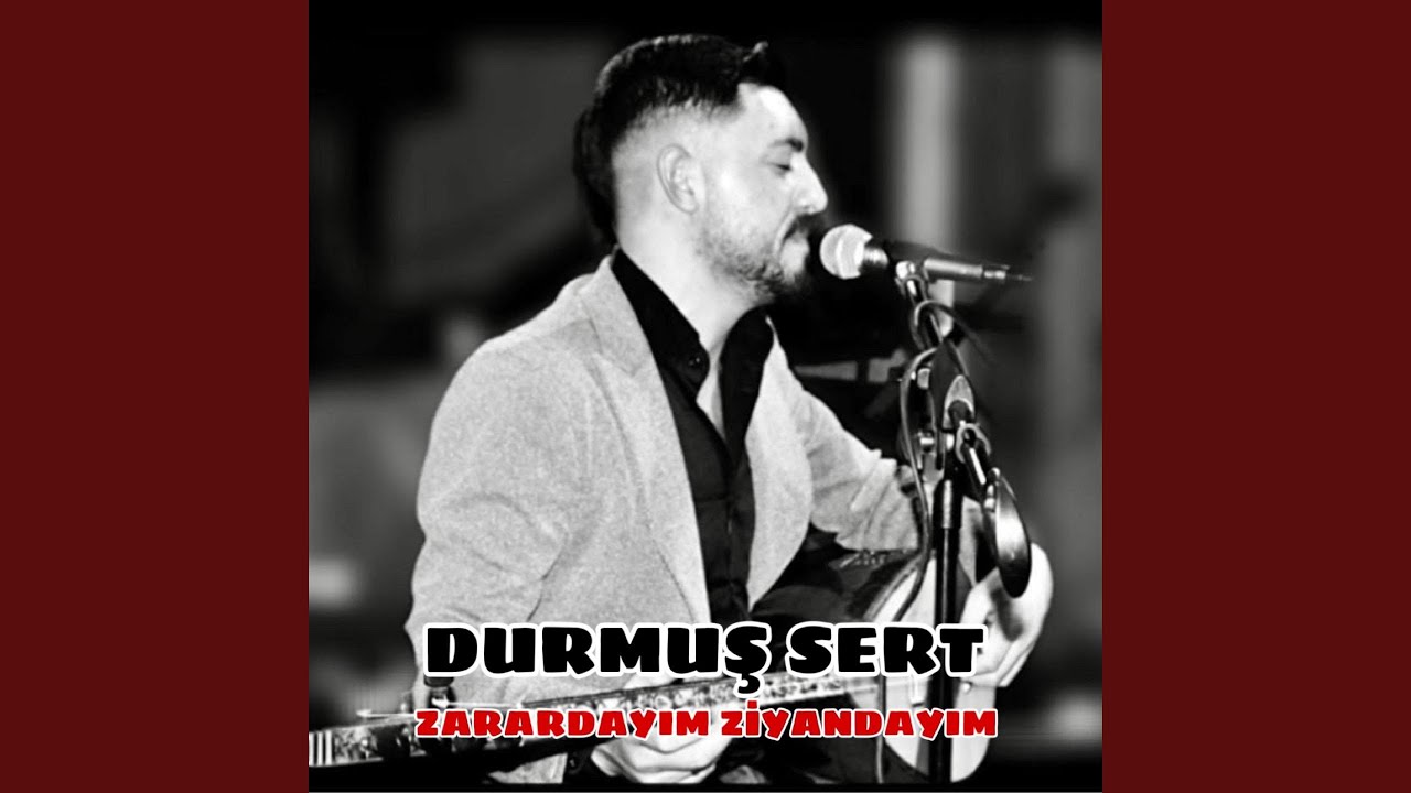 Zarardayım Ziyandayım