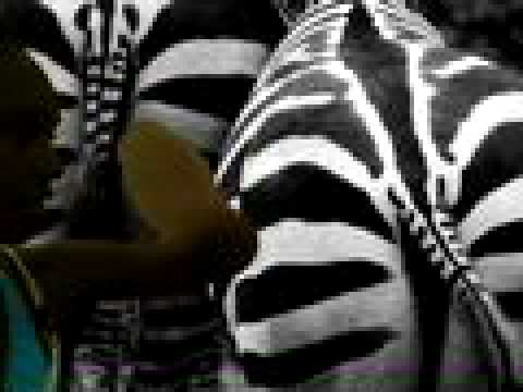 Zebra Butts