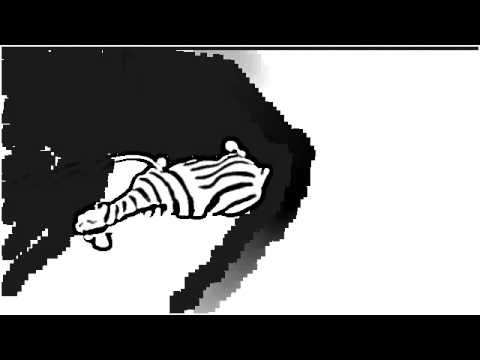 ZEBRALIED.wmv