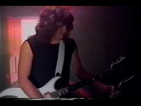 Zebra-Tell Me What You Want