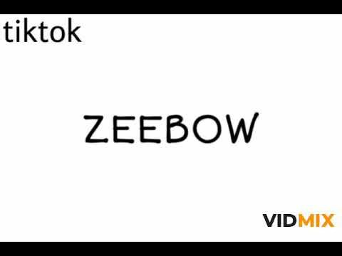 ZEEBOW REMIX เพลงที่ทุกคนตามหาในtiktok