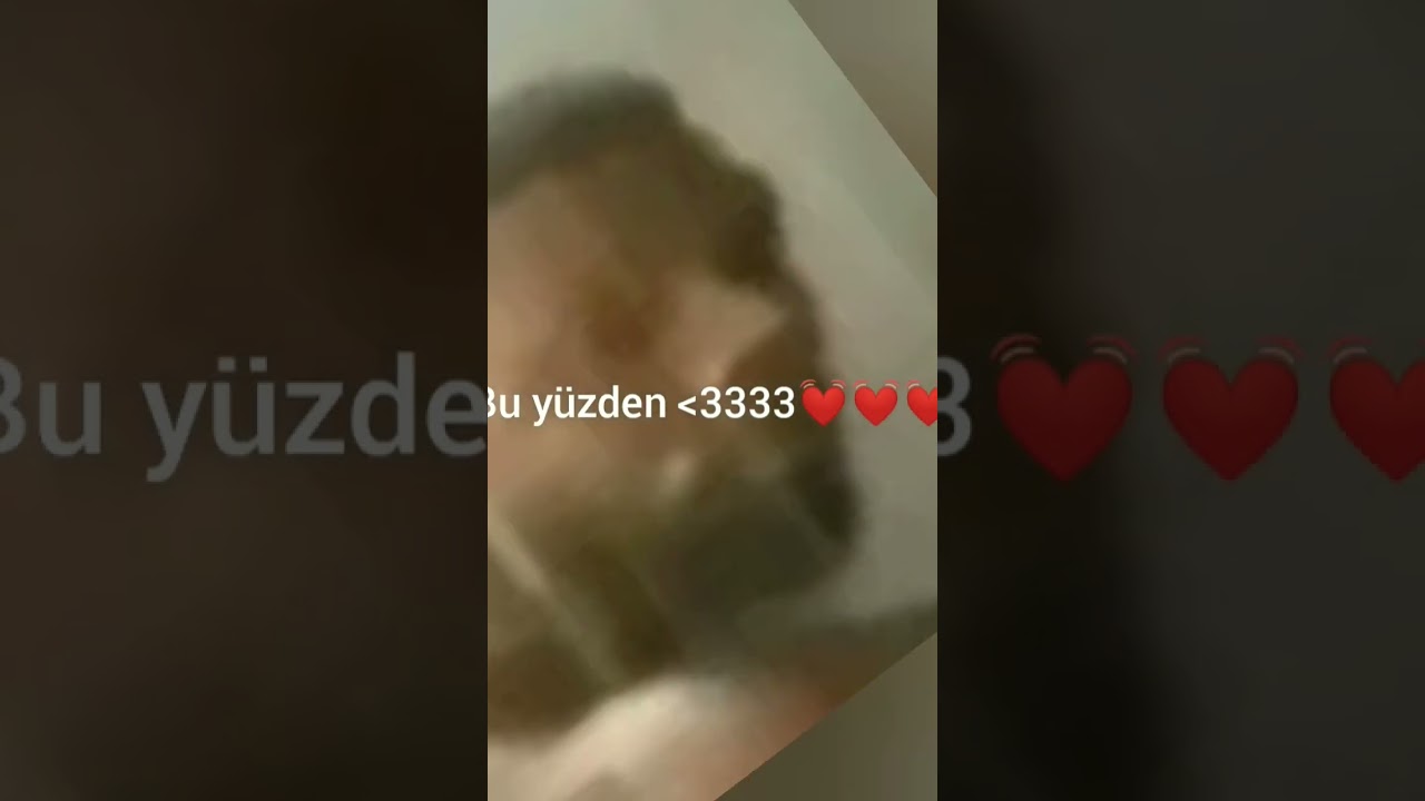 zenci gotu gotten