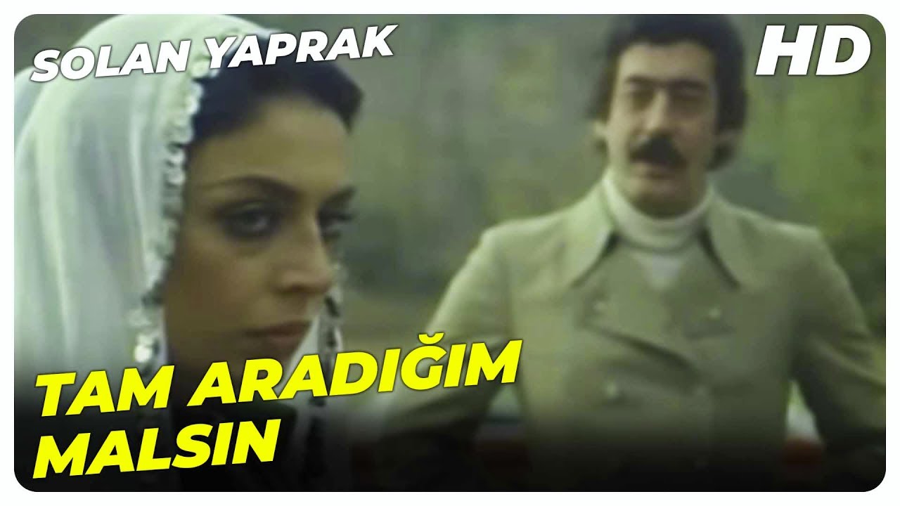 Zerrin Egeliler - Tam aradığım malsın