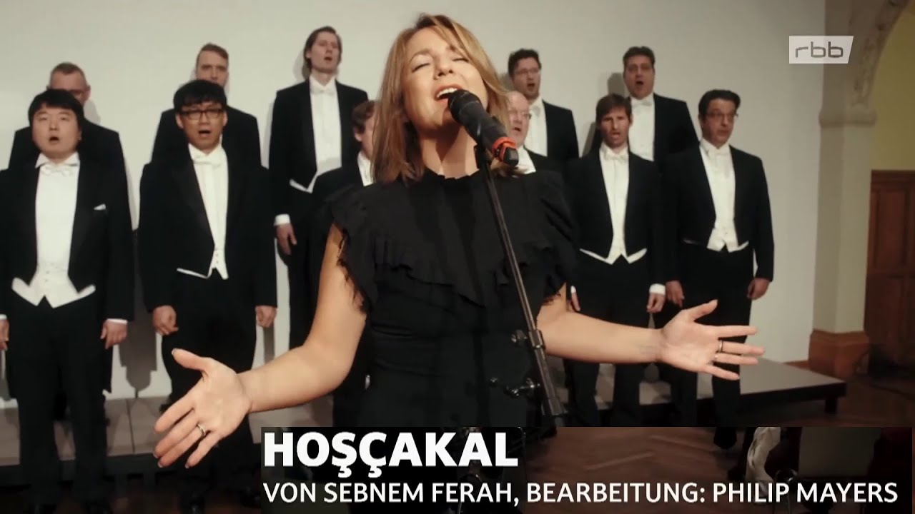 Zeynep Avcı  Hoşçakal Cover Şebnem Ferah _ 2022 11 25