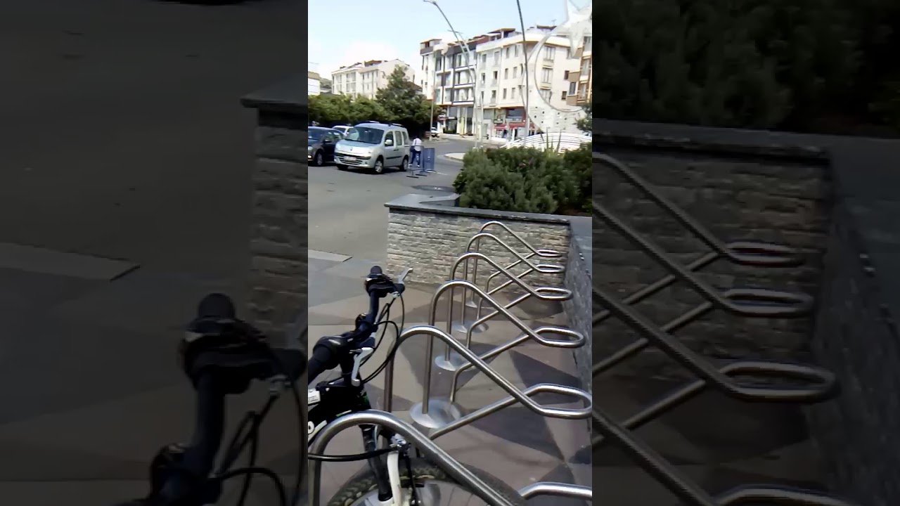 Özgür daş ve çiçek ler