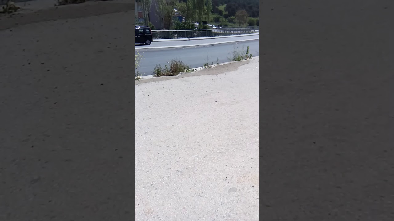 Özgür daş ve çiçek ler