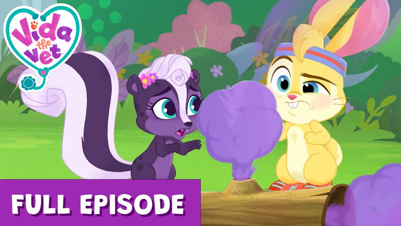 Zigzag's Skunk Spray | Vida the Vet | Cartoons for Kids