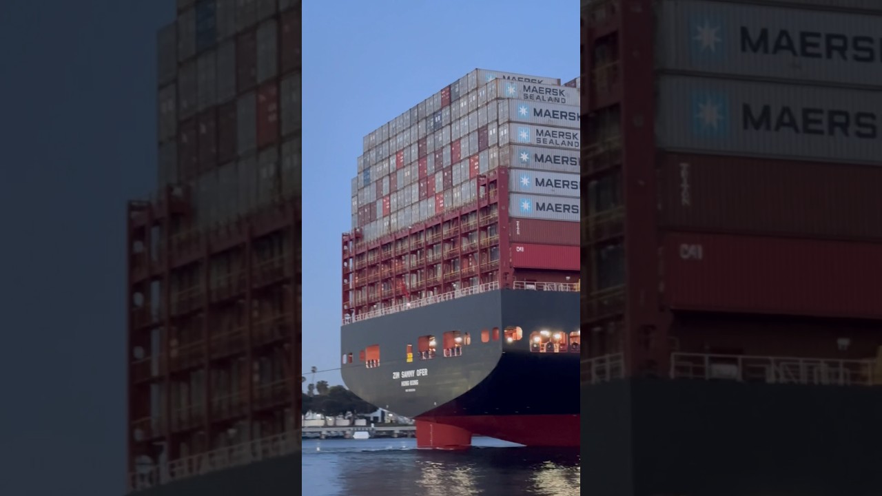 ZIM Panamax