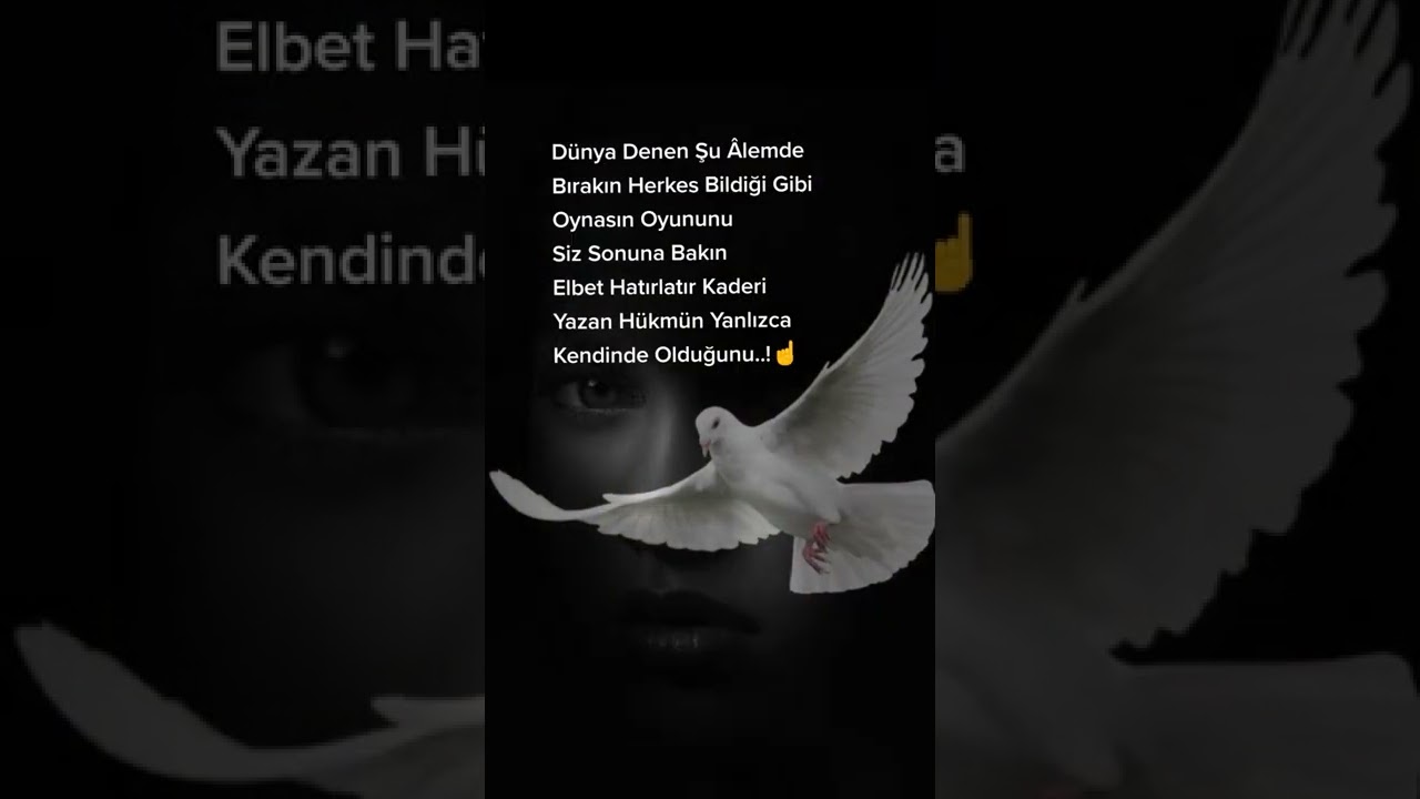 Özlü anlamlı güzel ibretlik damar duygusal sözler... Kısa WhatsApp durum videosu...