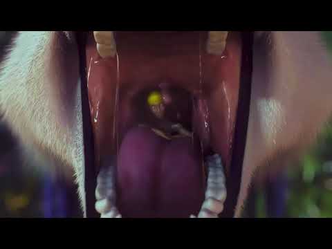 Zoe Vore ( Part 2 )
