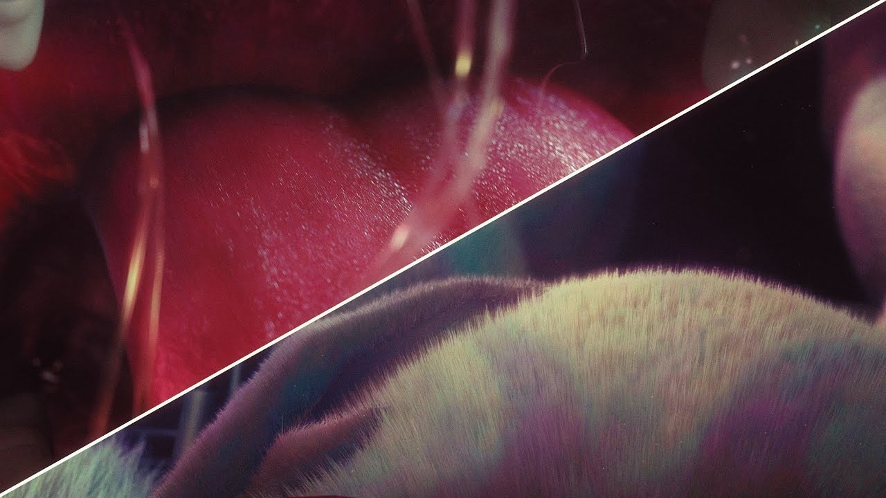 zoe vore 12 (cakeinferno)