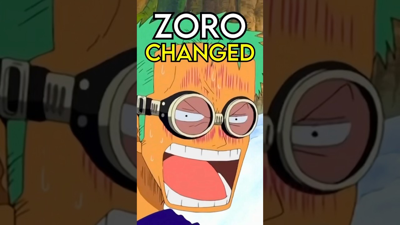 Zoro CHANGED so much Post-Timeskip