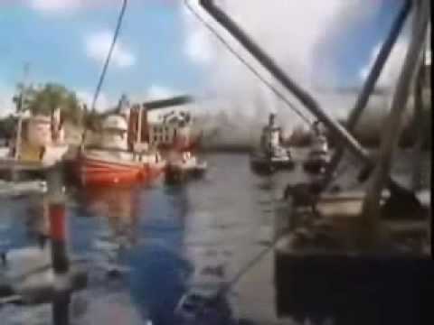 Zorran You Are A Pirate