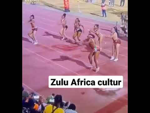 Zulu African culture